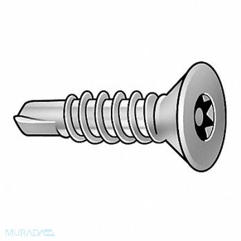TAMPER-PRUF SCREW Scrw Sz #10 T20 Zinc 3/4 L PK50, 5JU55