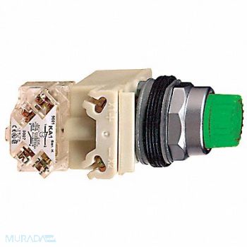 SCHNEIDER ELECTRIC H6934 Illuminated Push Button 30mm 120VAC, 5KCF1