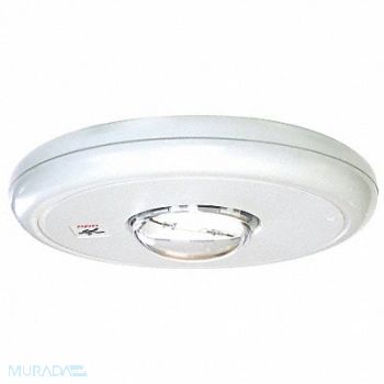 EDWARDS SIGNALING Horn Strobe Plastic White 4 In, 5KDF6