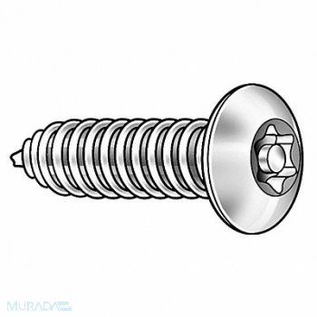TAMPER-PRUF SCREW Scrw Sz #4 T10 18-8SS 1/2 L PK50, 5JE82