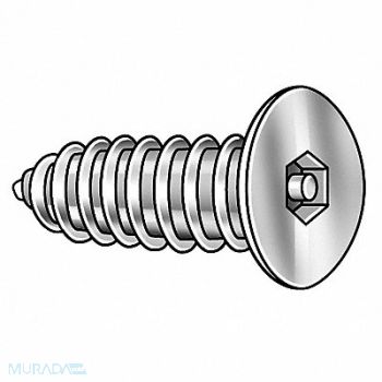 TAMPER-PRUF SCREW Scrw Sz #8 5/32 18-8SS 1 L PK25, 5KY33