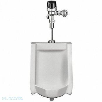 SLOAN Washout Urinal Automatic Flush Valve, 5NFL2