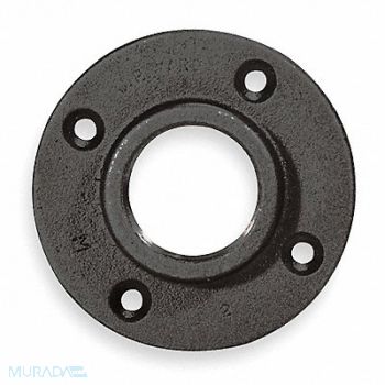GRAINGER APPROVED Pipe Flange Malleable Iron Floor Flange, 5P600