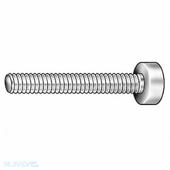 GRAINGER APPROVED Thumb Screw 1/2 -13 Full Thread SS 3 L, 5PY40