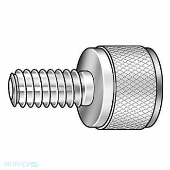 GRAINGER APPROVED Thumb Screw 1/2 -13 Full Thread BLK 1 L, 5RA19