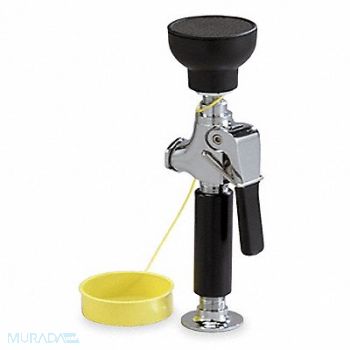 BRADLEY Single Head Drench Hose Countertop 8 ft., 5T278