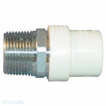 GRAINGER APPROVED Transition Adapter SS 1 in Pipe Sze, 5UED1