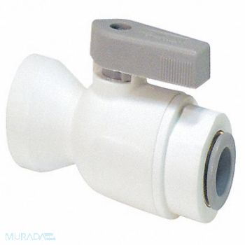 LIQUIFIT Acetall Ball Valve Push x FNPT 1/4 in, 5UMY1