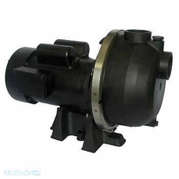 DAYTON Pump 3 HP 1Ph 120/208 to 240VAC, 5UPW2