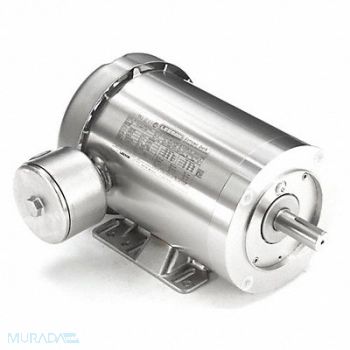 LEESON Washdown Motor 2 HP 3490 145TC 230/460V, 5XAT0