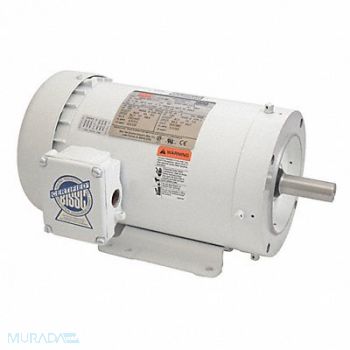DAYTON Washdown Motor 2 HP 3505 145TC 230/460V, 5XAT3