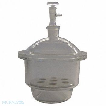 LAB SAFETY SUPPLY Cabinet Desiccator Clear, 5YHU8