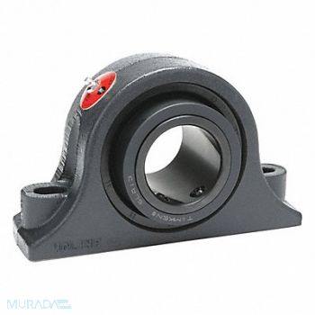 MOLINE BEARING Pillow Block Brg 2 1/4 in Bore Cast Iron, 60JR79