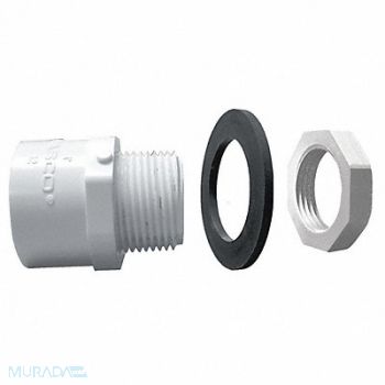 LASCO Adapter 1 in Schedule 40 Socket x MNPT, 60UD49