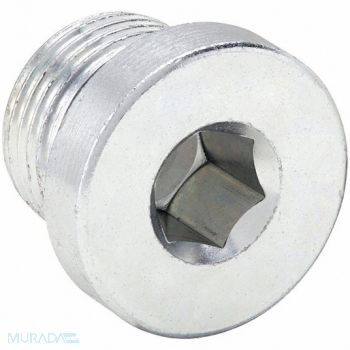 PARKER Hollow Hex Plug Steel 3/8 in Male Metric, 60VC54