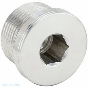 PARKER Hollow Hex Plug 316 SS 33 mm x 2 in, 60VC56