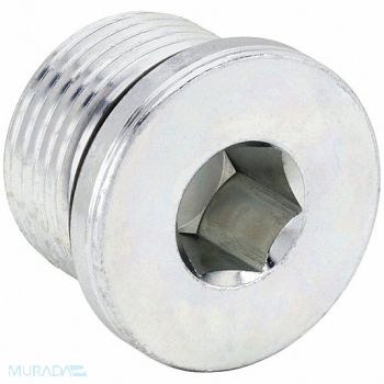 PARKER Hollow Hex Plug Steel 42 mm x 2 in, 60VC59