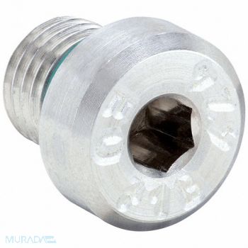 PARKER Hollow Hex Plug 316 SS 8 mm x 1 in, 60VC61