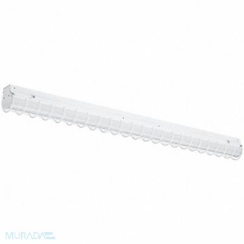 DAYBRITE Wire Guard, 60VD34