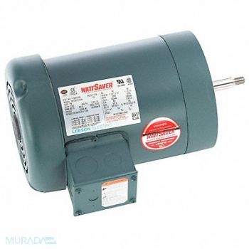 LEESON Pump Motor 3-Phase Design Steel Frame, 60WD35