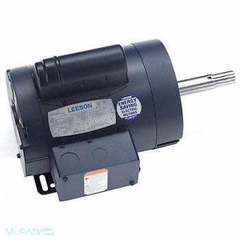 LEESON Pump Motor Capacitor-Start Design, 60WD48