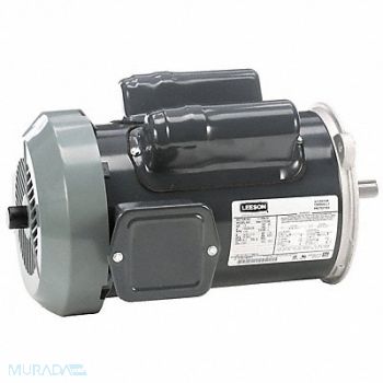 LEESON Farm Duty Motor 115/200-230V AC, 60WD51