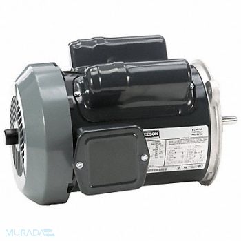 LEESON Farm Duty Motor 115/200-230V AC, 60WD55