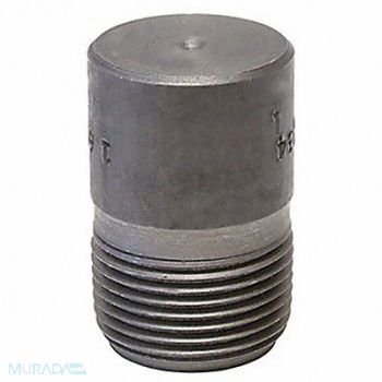 ANVIL Round Head Plug Forged Steel 2 in, 29VD10