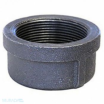 ANVIL Round Cap Malleable Iron 1/2 Class 150, 60XY15