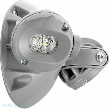LITHONIA LIGHTING Remote Head 8 to 30 V LED Cst Alum Sil, 61HZ70