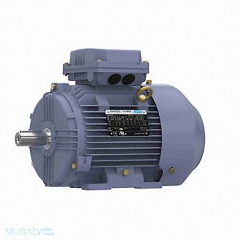 MARATHON MOTORS IEC Motor 10 HP 230/460V AC, 61VA70