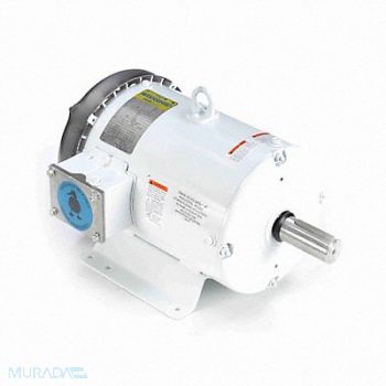 LEESON Washdown Motor 184T Frame 230/460V, 61KJ28