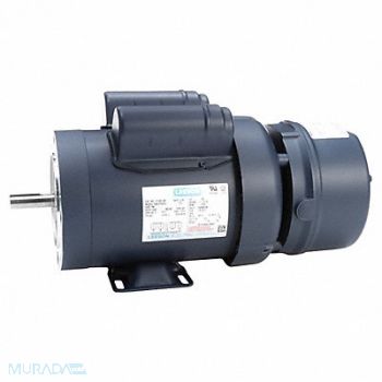 LEESON Brake Motor Single Phase 1 hp 1725 RPM, 61KM85