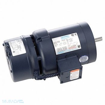 LEESON Brake Motor Three Phase 3/4 hp 1725 RPM, 61KM95