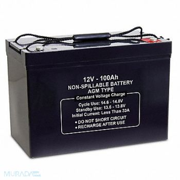 GRAINGER APPROVED Sealed Lead Acid Battery 12VDC 100Ah, 61KW69