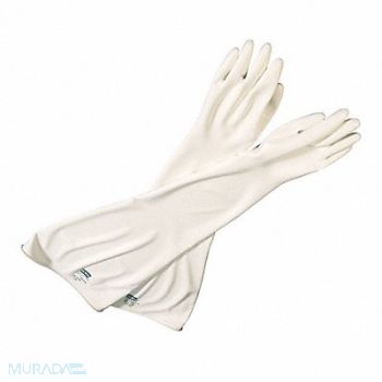 HONEYWELL Glovebox Glove 9-3/4 Size 32 L PR, 61VD46