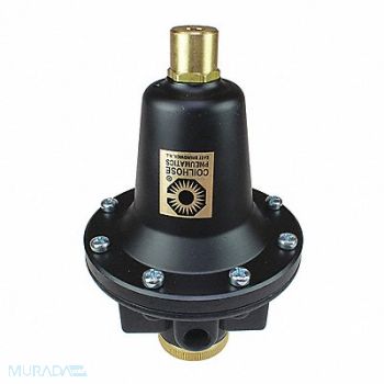 COILHOSE PNEUMATICS Regulator Tamperproof 0-60PSI 1/4, 620N02