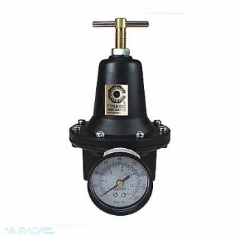 COILHOSE PNEUMATICS Regulator W/Gauge 3/8, 620T93
