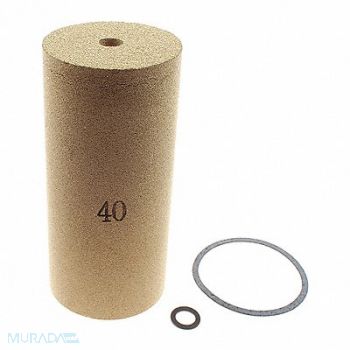 COILHOSE PNEUMATICS Filter Element Kit 2 GP Series, 620W22