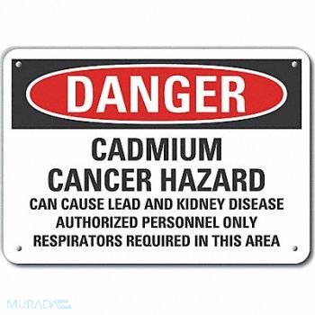 LYLE Cadmium Danger Sign 10x14in Plastic, 64RV14
