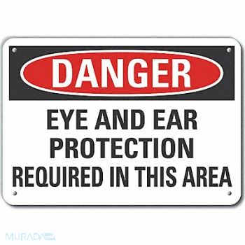 LYLE Eye Ear Danger Sign 7inx10in Plastic, 64RT09