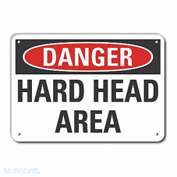 LYLE Plastic Hard Hat Danger Sign 10x14in, 64RL61