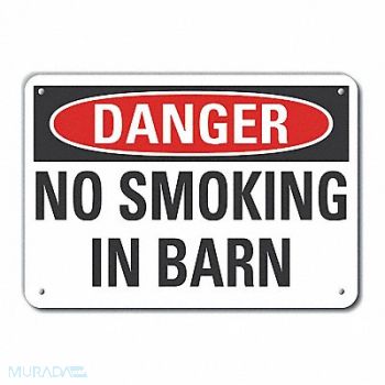 LYLE No Smoking Danger Sign 10x14in Plastic, 64RM46