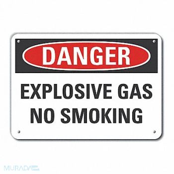 LYLE No Smoking Danger Sign 10x14in Plastic, 64RN61