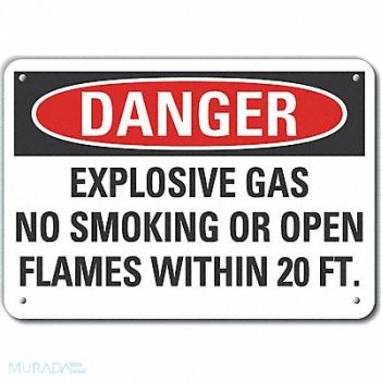 LYLE No Smoking Danger Sign 10x14in Plastic, 64RT92