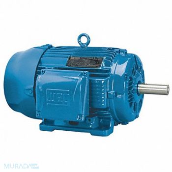 WEG Motor 100 HP 1 150 rpm 208-230/460V, 6FJA1