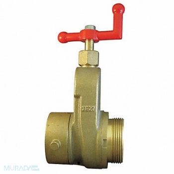 MOON AMERICAN Hose Gate Valve 2.5in MxF NST Brass, 6APD7