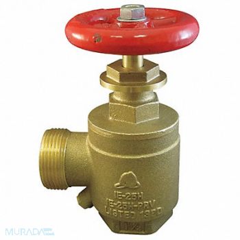 MOON AMERICAN Angle Valve 2.5 In FNPTxMNH Brass Rising, 6APG9