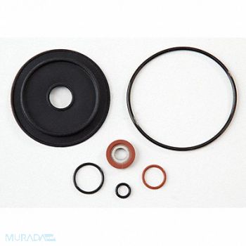 Relief Valve Repair KIt Watts 009 M2 1In, 6AUP8