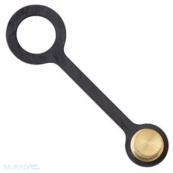 Cap Tether 1/8 Use w/Watts RK-SAE-TC, 6AUY0